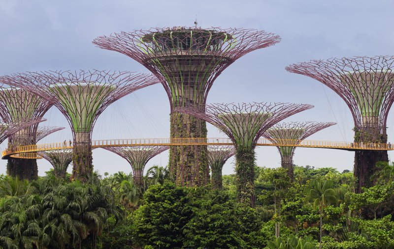 OCBC Skyway